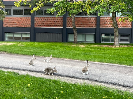 Reflecting on a Year of Change: I-deel in 2024