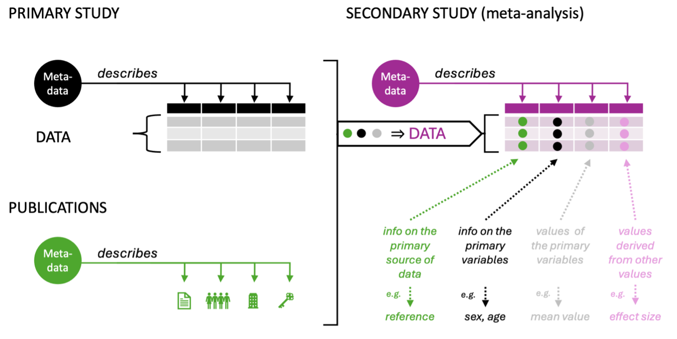 Around meta-analysis (16): meta-data, metadata, and more meta confusion
